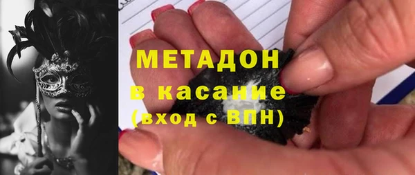 прущие грибы Мегион