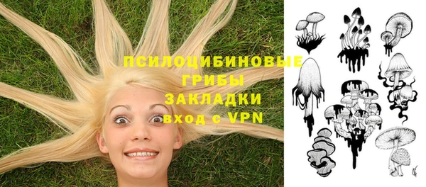 прущие грибы Мегион