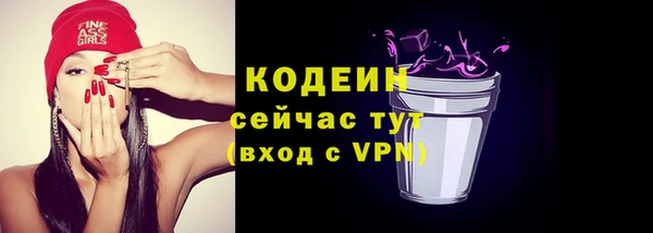 прущие грибы Мегион