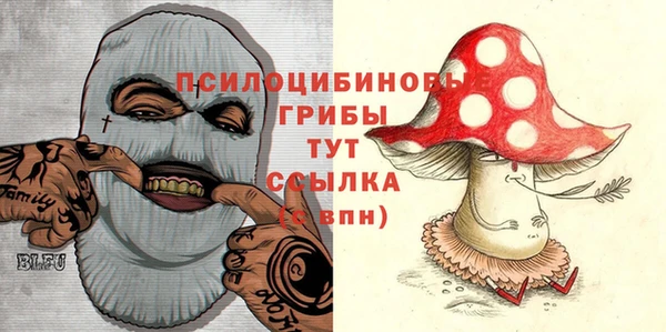 прущие грибы Мегион