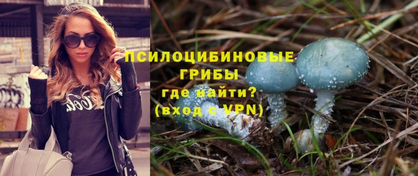 ешки Дмитриев