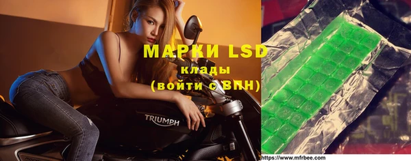 прущие грибы Мегион