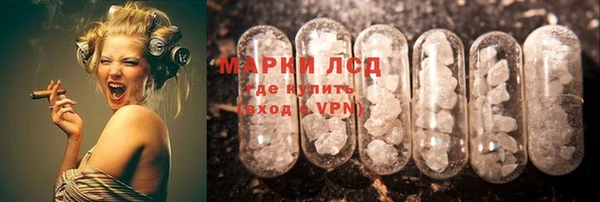 прущие грибы Мегион
